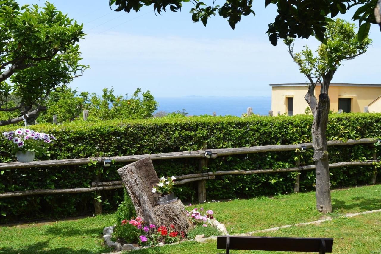 Sara'S Sweet Corner Bed & Breakfast เมตา ภายนอก รูปภาพ