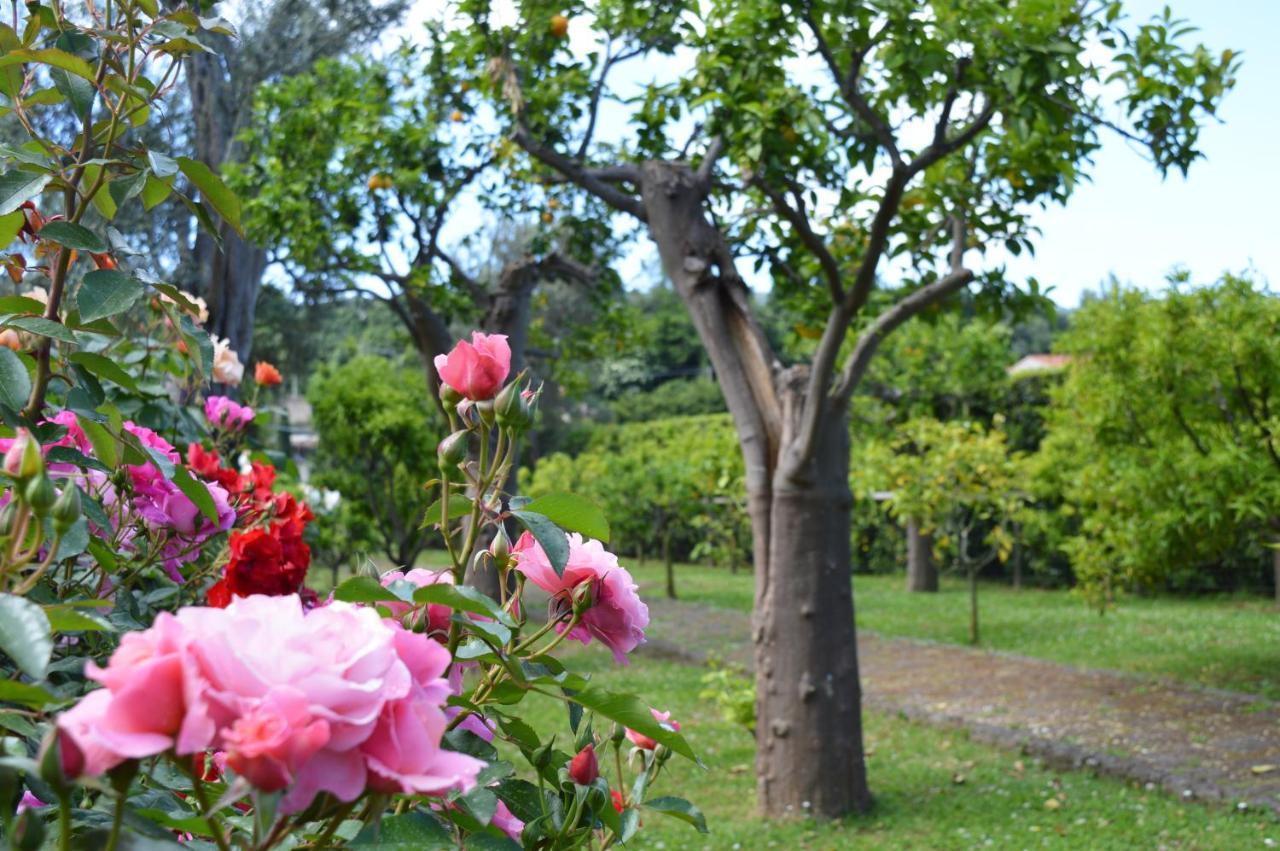 Sara'S Sweet Corner Bed & Breakfast เมตา ภายนอก รูปภาพ